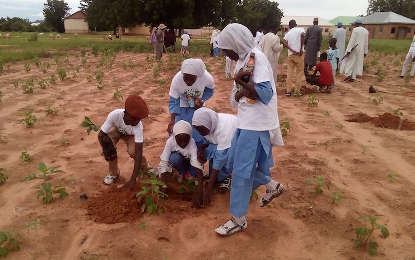 Programme Écologie